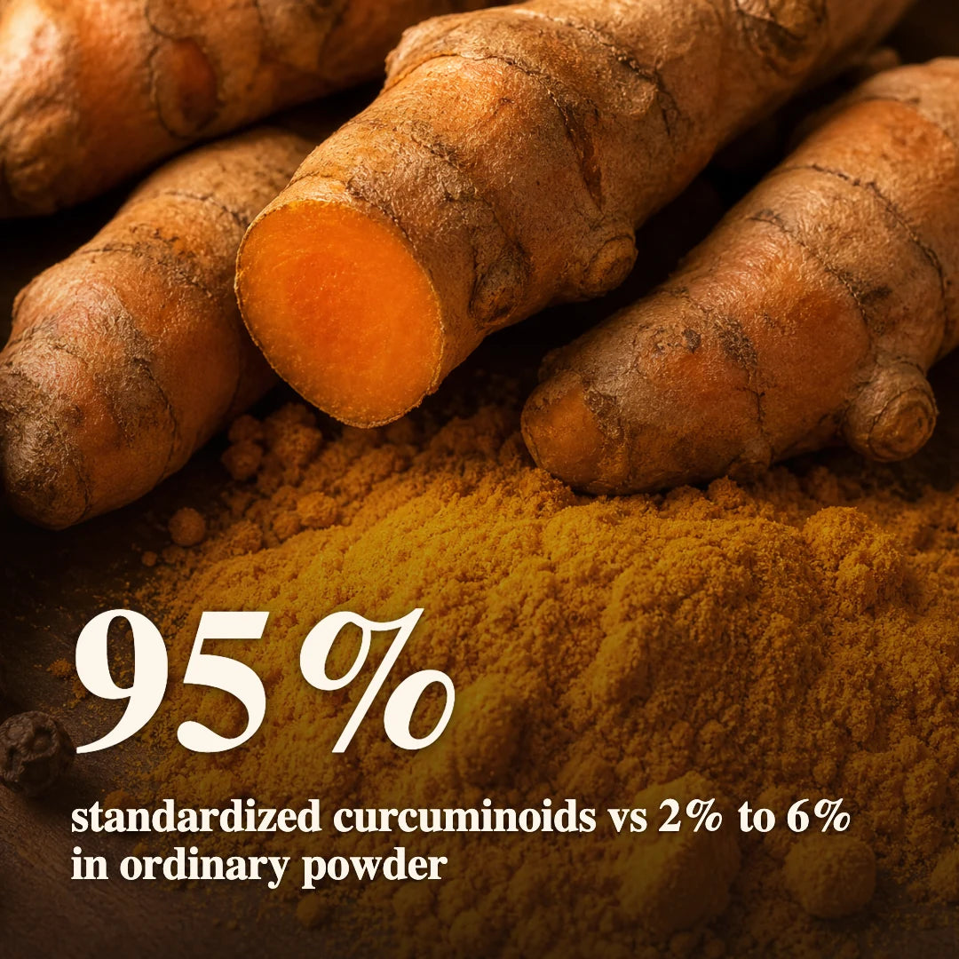 Macro turmeric with 95 percent standardized curcuminoids comparison